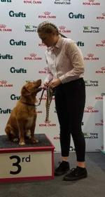 3rd in YKC High Flyers Obedience
