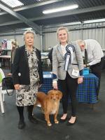 Toller CC show 2019