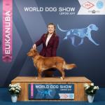 WORLD DOG SHOW 2017