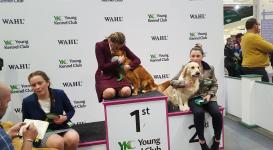 Crufts 2018